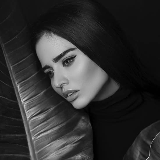 Gallery pp06.jpg